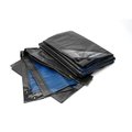 Bio Green 20 ft x 30 ft Heavy Duty Tarp, Blue RX-150-20x30-GB